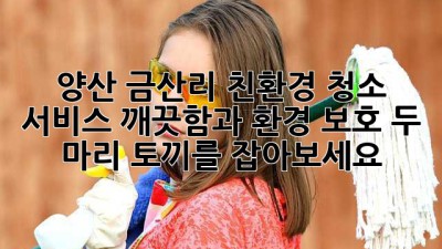 양산 금산리 친환경 청소 서비스: 깨끗함과 환경 보호, 두 마리 토끼를 잡아보세요!