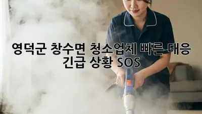🚨 영덕군 창수면 청소업체 빠른 대응! 긴급 상황 SOS! 🚨